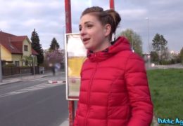 Public agent aneb hezká slovenka ztracená v Čechách